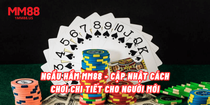 ngau-ham-mm88